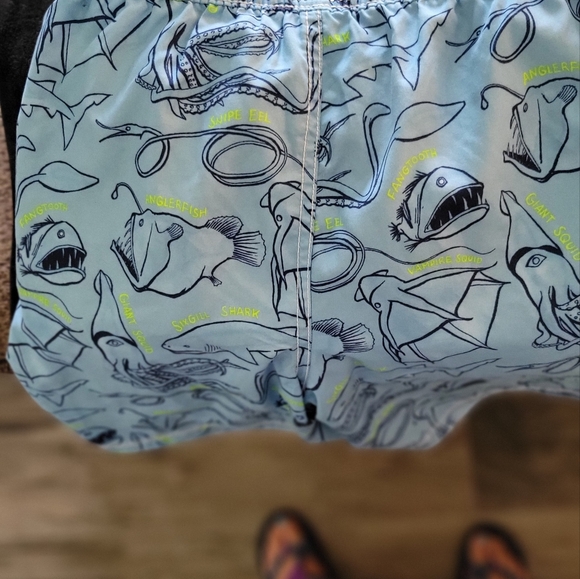 Boys size 8 Gap swim trunks - Picture 3 of 4